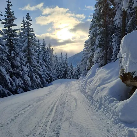 Penzion & Schwarzenbacher Sonja & Konrad Kleinarl