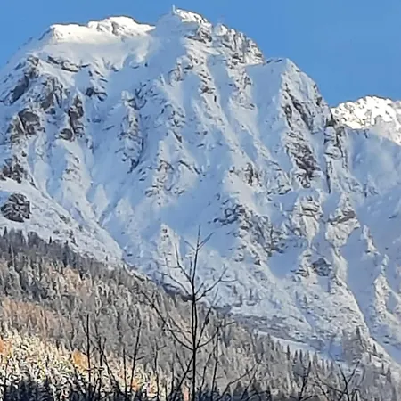 & Schwarzenbacher Sonja & Konrad Penzion