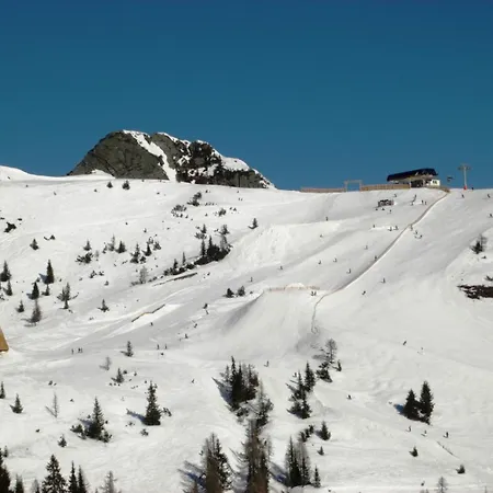 Penzion & Schwarzenbacher Sonja & Konrad