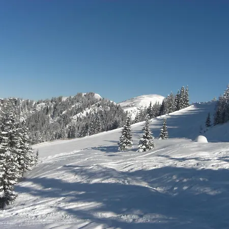 & Schwarzenbacher Sonja & Konrad 3* Kleinarl